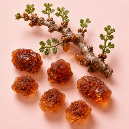 Commiphora Myrrha Extract